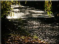 Sunlight glinting on the water at New River Walk (1)