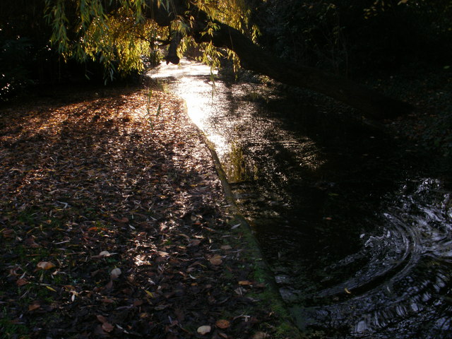 Sunlight glinting on the water at New River Walk (2)