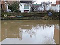 Canalside crocodiles