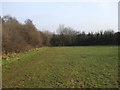 Open grassland near the Nant Fawr, Cardiff