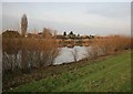 Gunthorpe across the river Trent