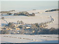 Panorama of snowy East Allen Dale (3 - The Dene and High Hope)