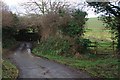 The Winding Lane near Wastor Cross