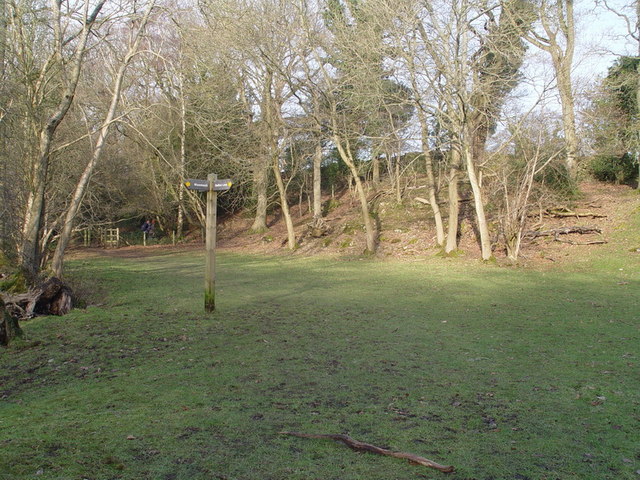 Footpath Junction in Scout Wood