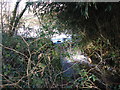 Pond overflow at Upper Diddlesfold Farm