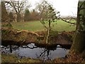 Ditch, Stoborough Heath