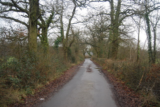 Bridleway west of the B2176
