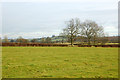 Farmland near Calcutt House farm looking towards Shuckburgh