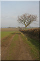 Footpath to Wood Hall