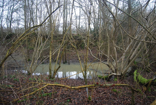 Pond by the bridleway near Wat Stock