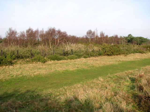 Gt Yarmouth to St Olaves railway -... © Evelyn Simak :: Geograph ...