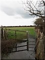 Flooded Footpath