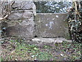 Stone stile and a bench mark