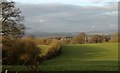 Fields near Ford Street