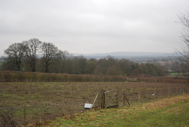 View north from Chiddingstone