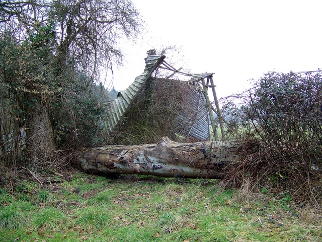 Derelict barn near Damerham