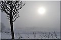 Snow and mist on Warwick road