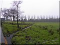 Tullyrusk Townland