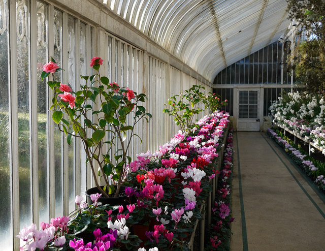 Interior of the Palm House