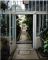 J3372 : Interior of the Palm House by Rossographer