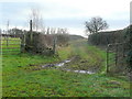 A green lane footpath