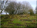 The remains of Busbyside Farm