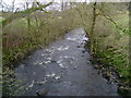 White Cart Water from Waterfoot Bridge