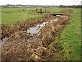 Drainage channel near the Piddle