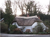 ST0339 : Thatched Cottage, Lower Roadwater by N Chadwick