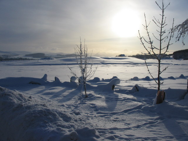 Snow fields at Ballieward