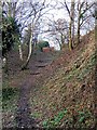 Steps on footpath from Timber Lane