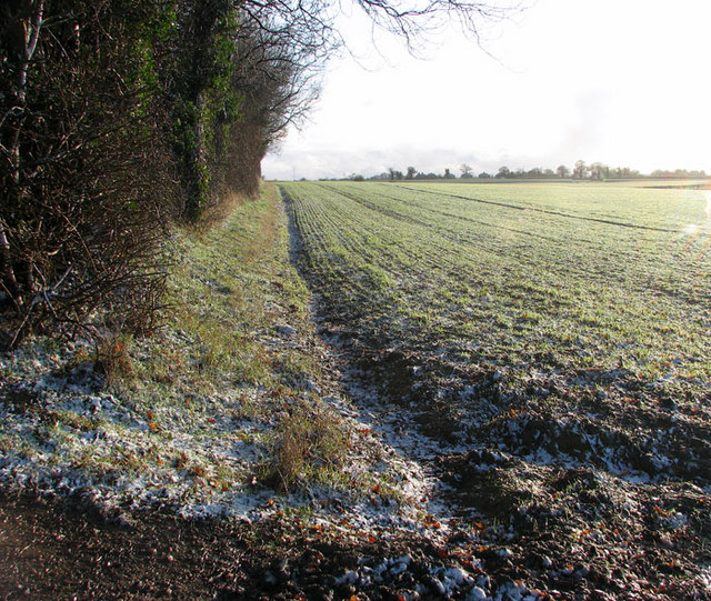 A snowy field boundary