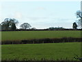 Fields at Lowlands Farm