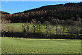 Fields by the Afon Dulas