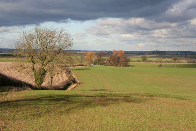 Farmland near Ashwell