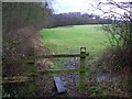 Footpath near Sandleheath