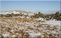 NX7197 : The summit area of Mullwhanny by Walter Baxter