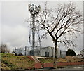 Mobile phone mast, Libeneth Road, Newport