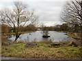 Liswerry Pond from the west