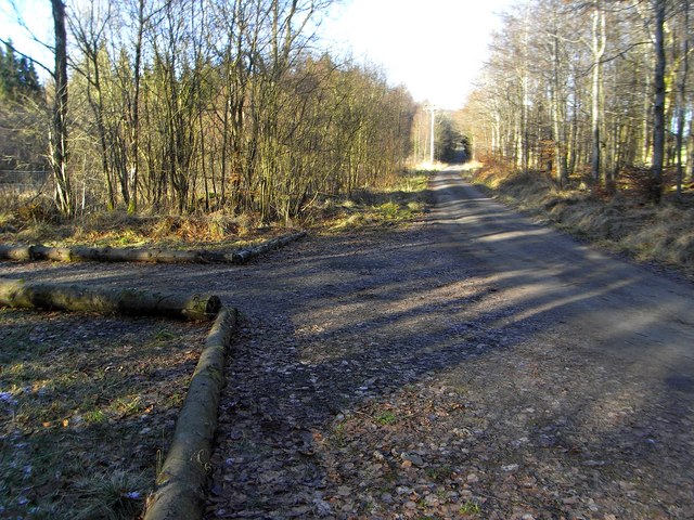 Private Road and Logs