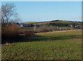 Field south of Commins Coch