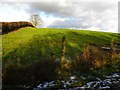 Coolesker Townland