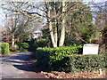 Burford Lodge Road End