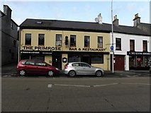 J3652 : The Primrose Bar & Restaurant, Ballynahinch by Kenneth  Allen