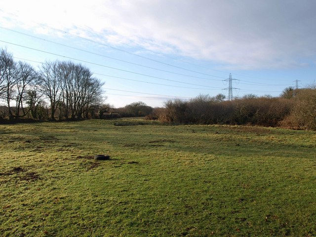 Meadow near Trebell Green