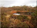 SX0561 : Pond on Breney Common by Derek Harper