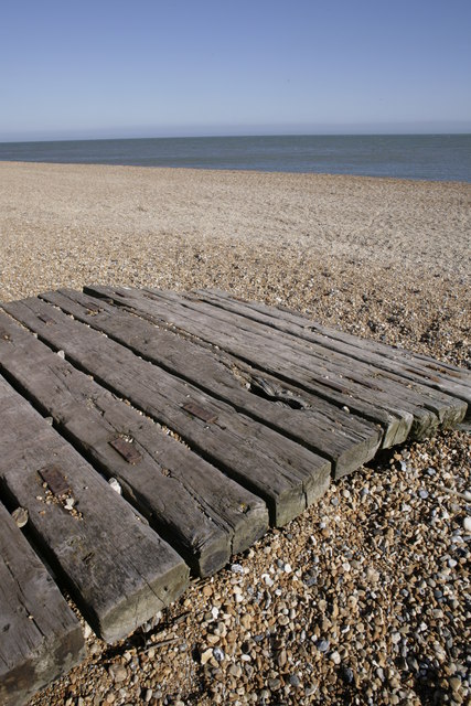 Wood on the beach