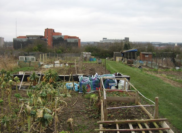 South View allotments