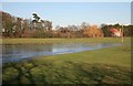 Flooded fields