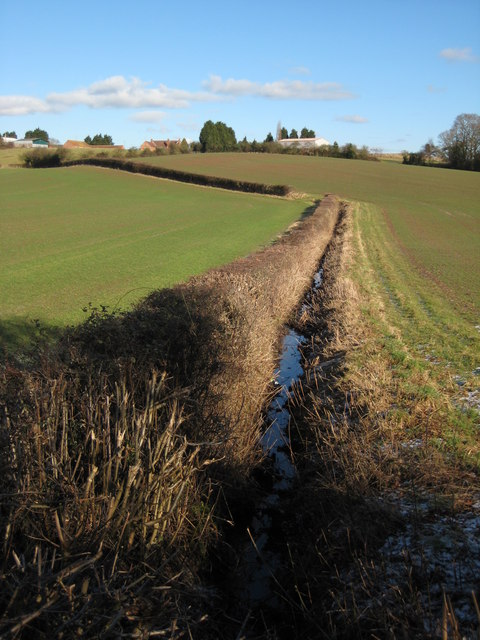 Hedge and ditch